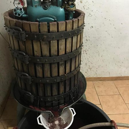 Agriturismo Il Melo Valfabbrica Ngoại thất bức ảnh