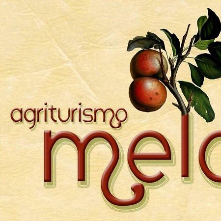 Agriturismo Il Melo Valfabbrica Ngoại thất bức ảnh
