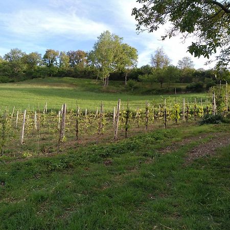 Agriturismo Il Melo Valfabbrica Ngoại thất bức ảnh