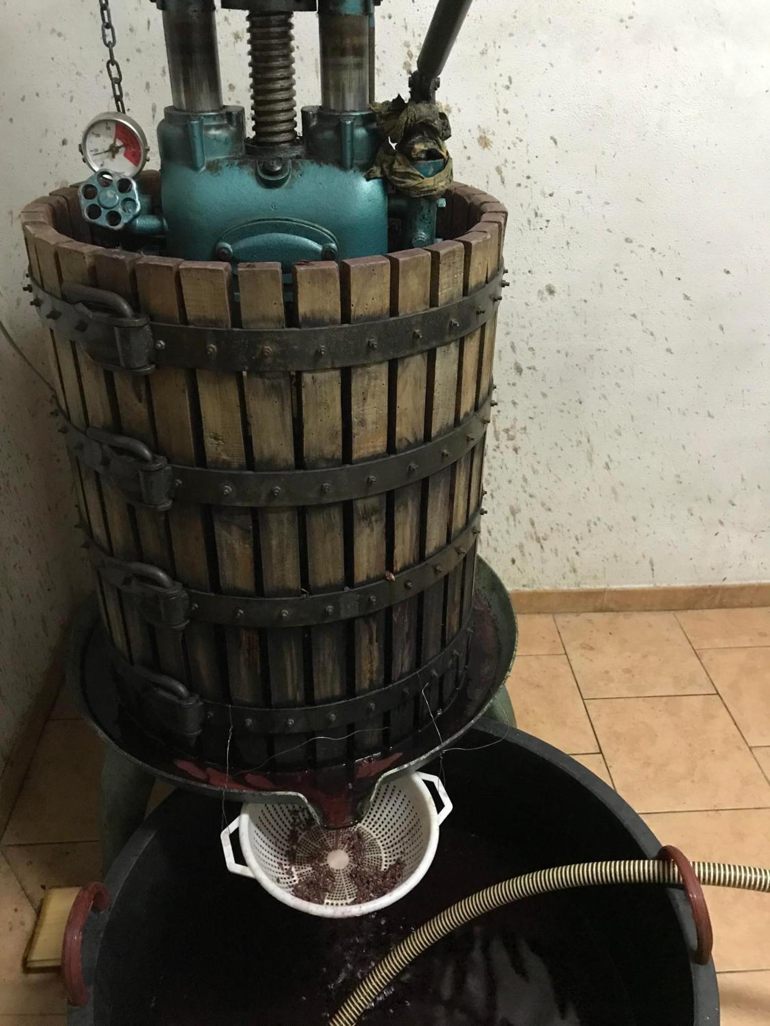 Agriturismo Il Melo Valfabbrica Ngoại thất bức ảnh