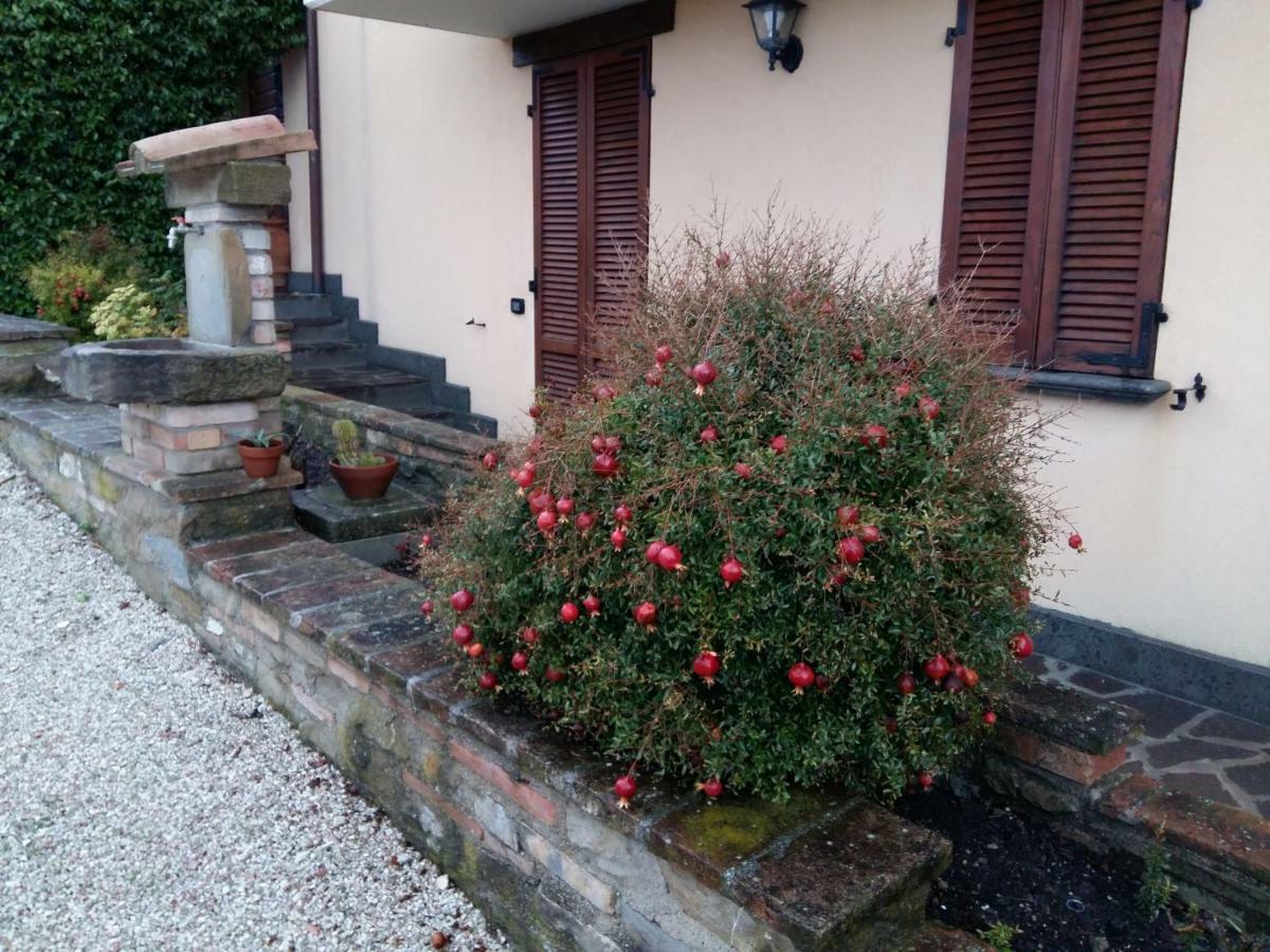 Agriturismo Il Melo Valfabbrica Ngoại thất bức ảnh