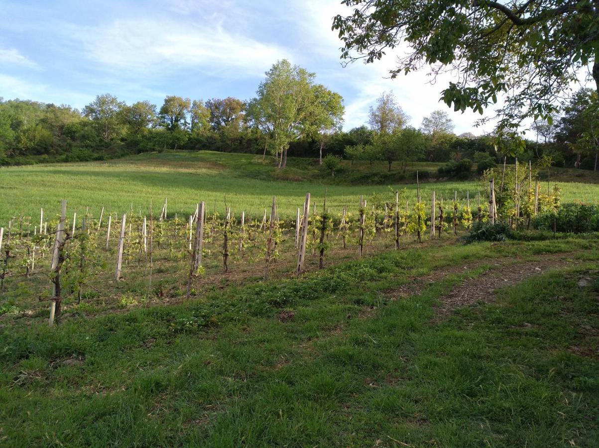 Agriturismo Il Melo Valfabbrica Ngoại thất bức ảnh